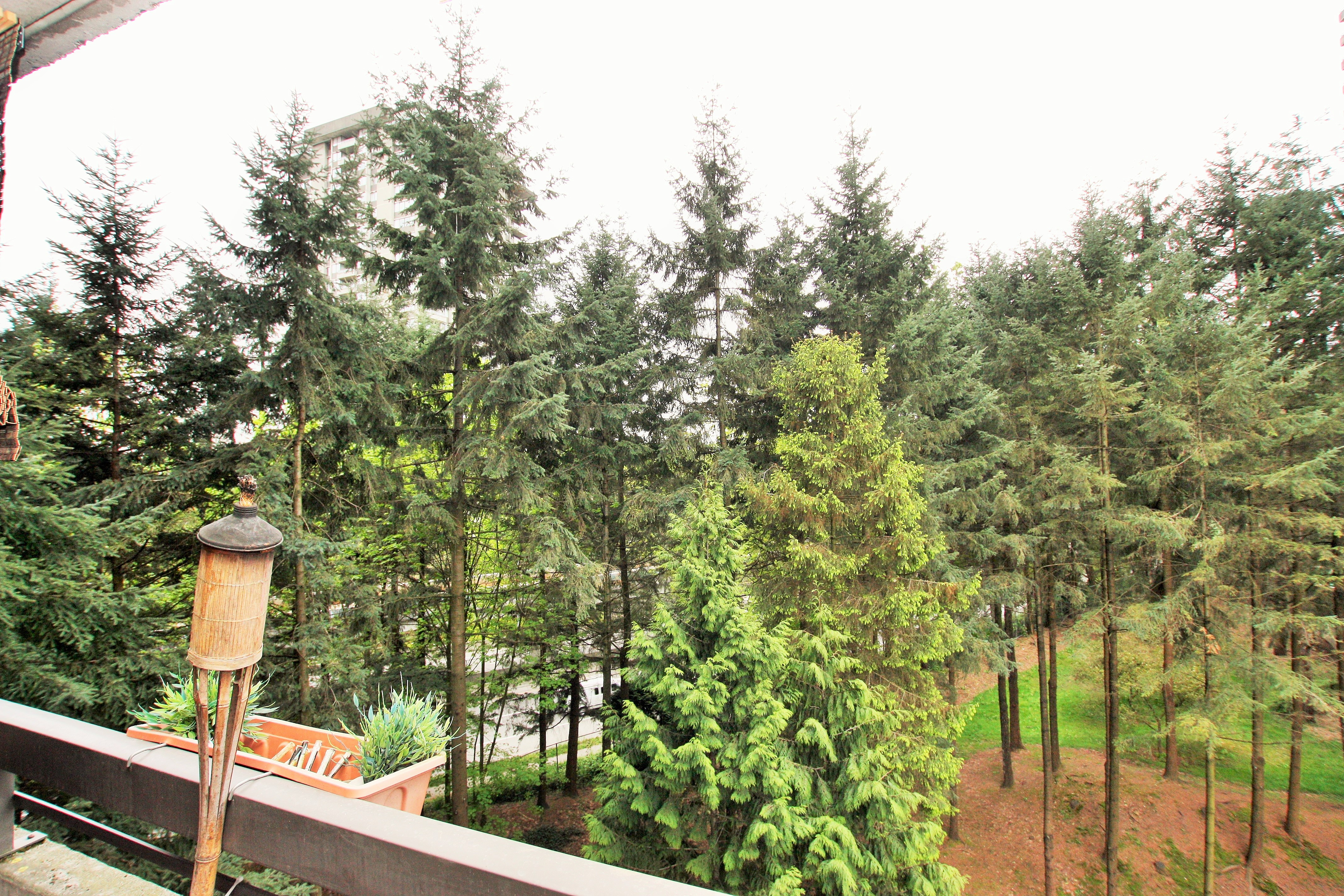502 3771 BARTLETT COURT, Burnaby, BC 11