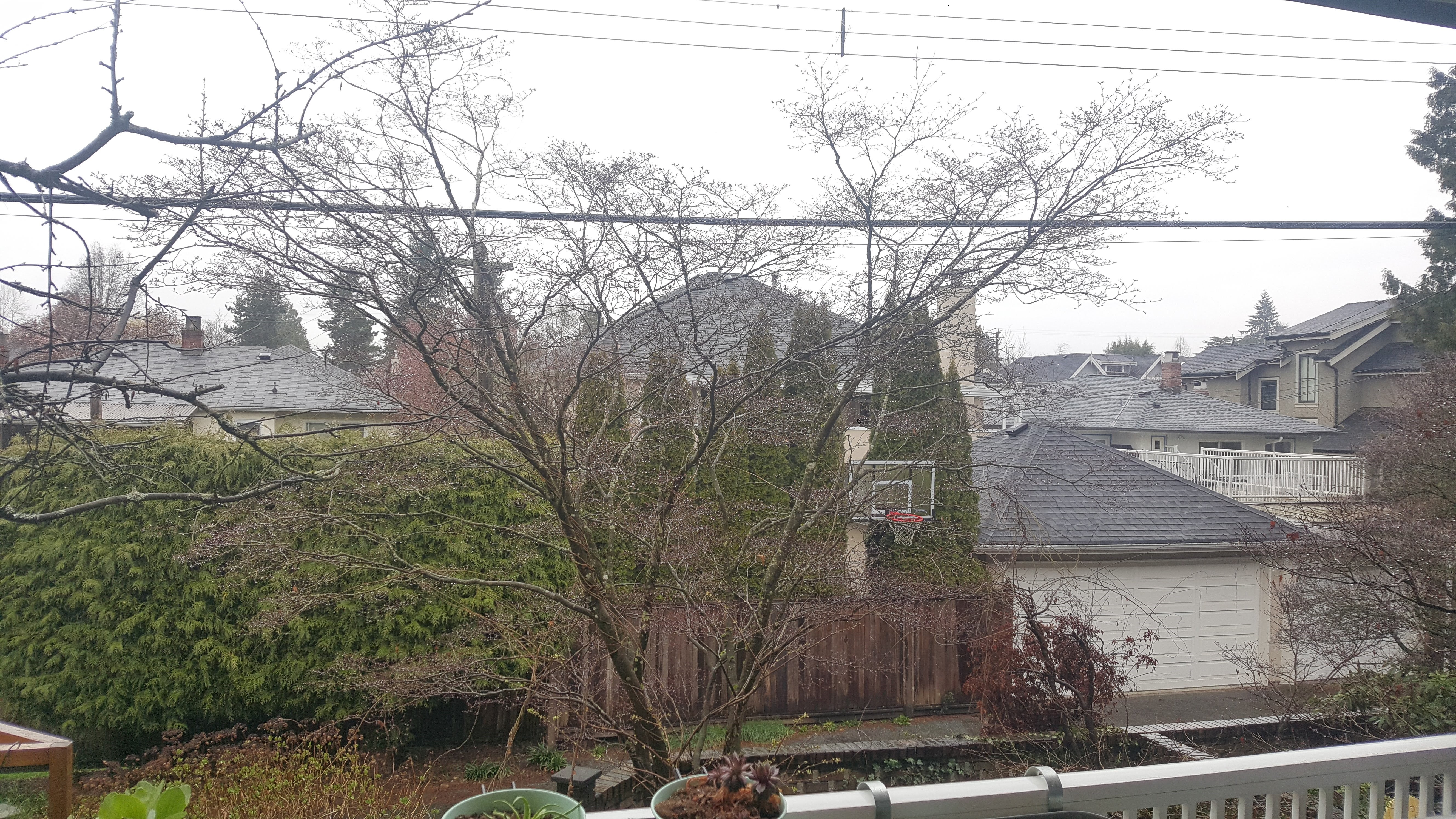 214 3875 W 4TH AVENUE, Vancouver, BC 15