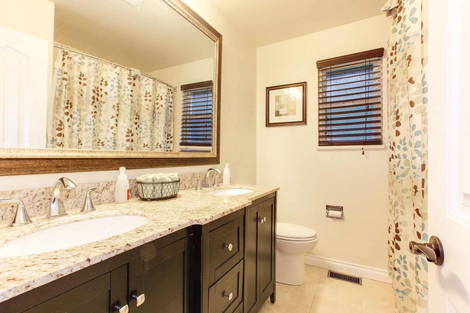 3258 Cornwall Street Port Coquitlam 22