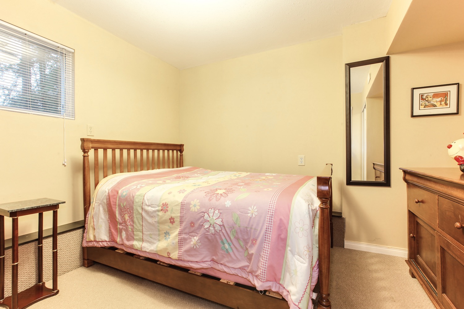 3258 Cornwall Street Port Coquitlam 27