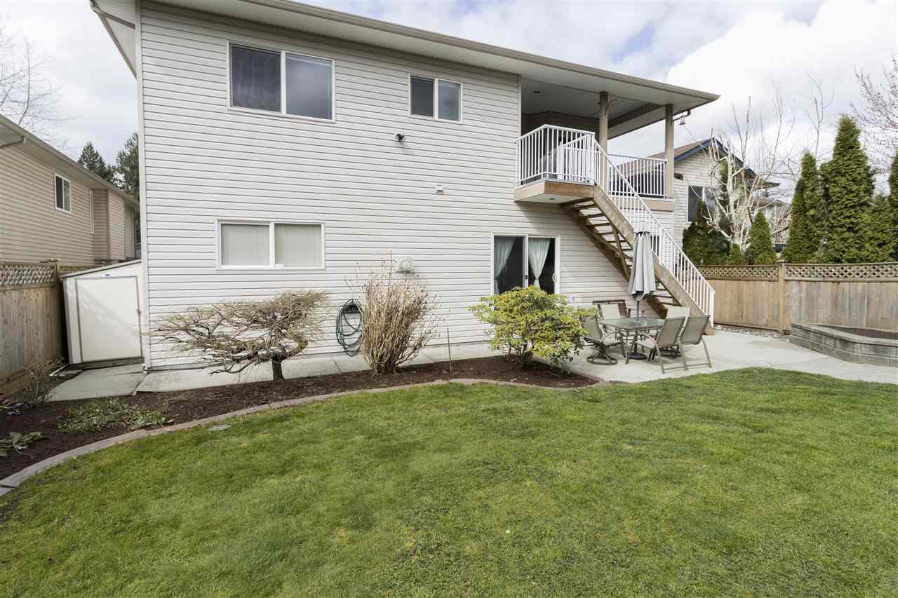 11360 238 STREET MAPLE RIDGE 31