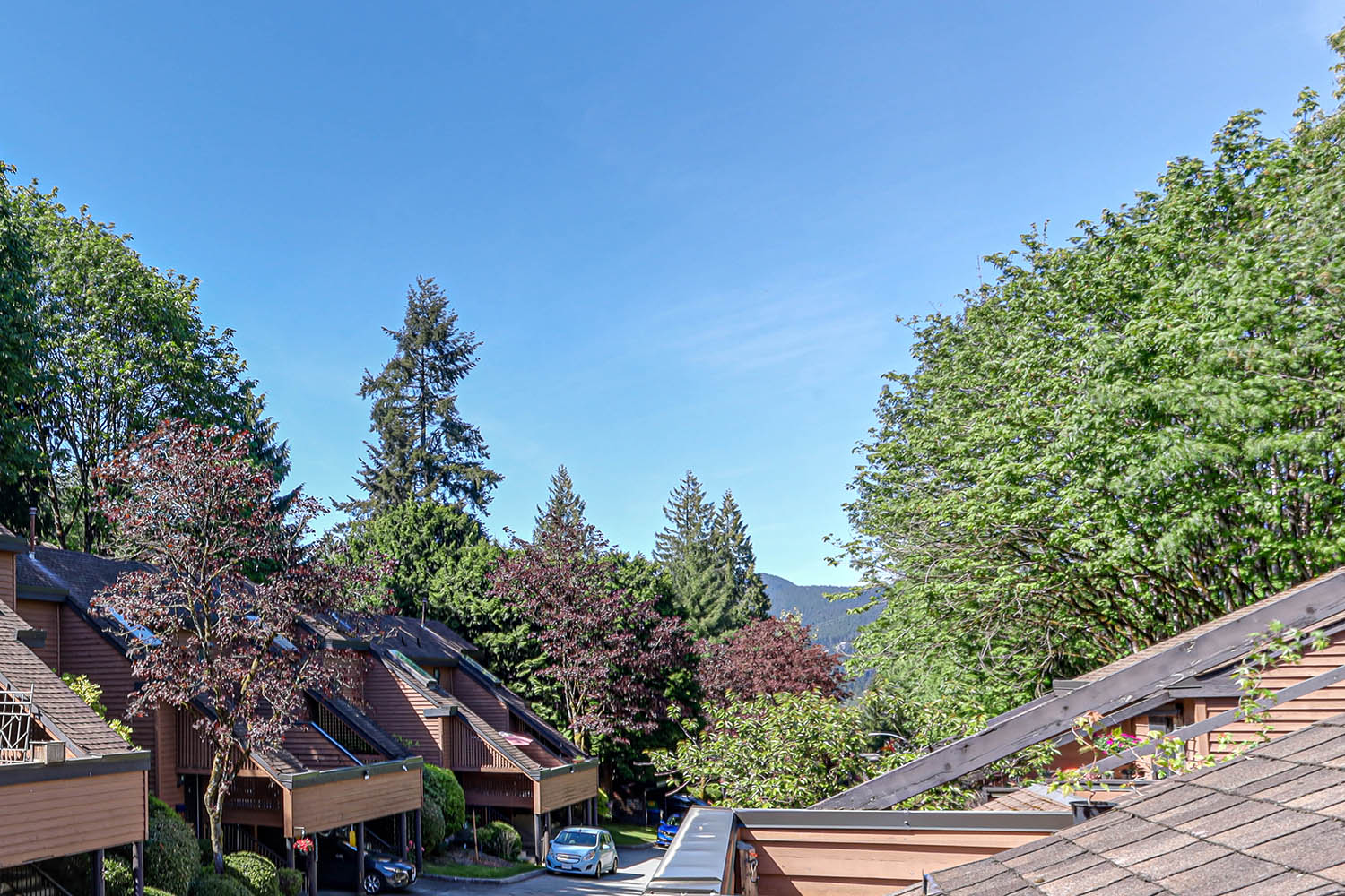 430 Cambridge Way, Port Moody BC V3H 3V2 22